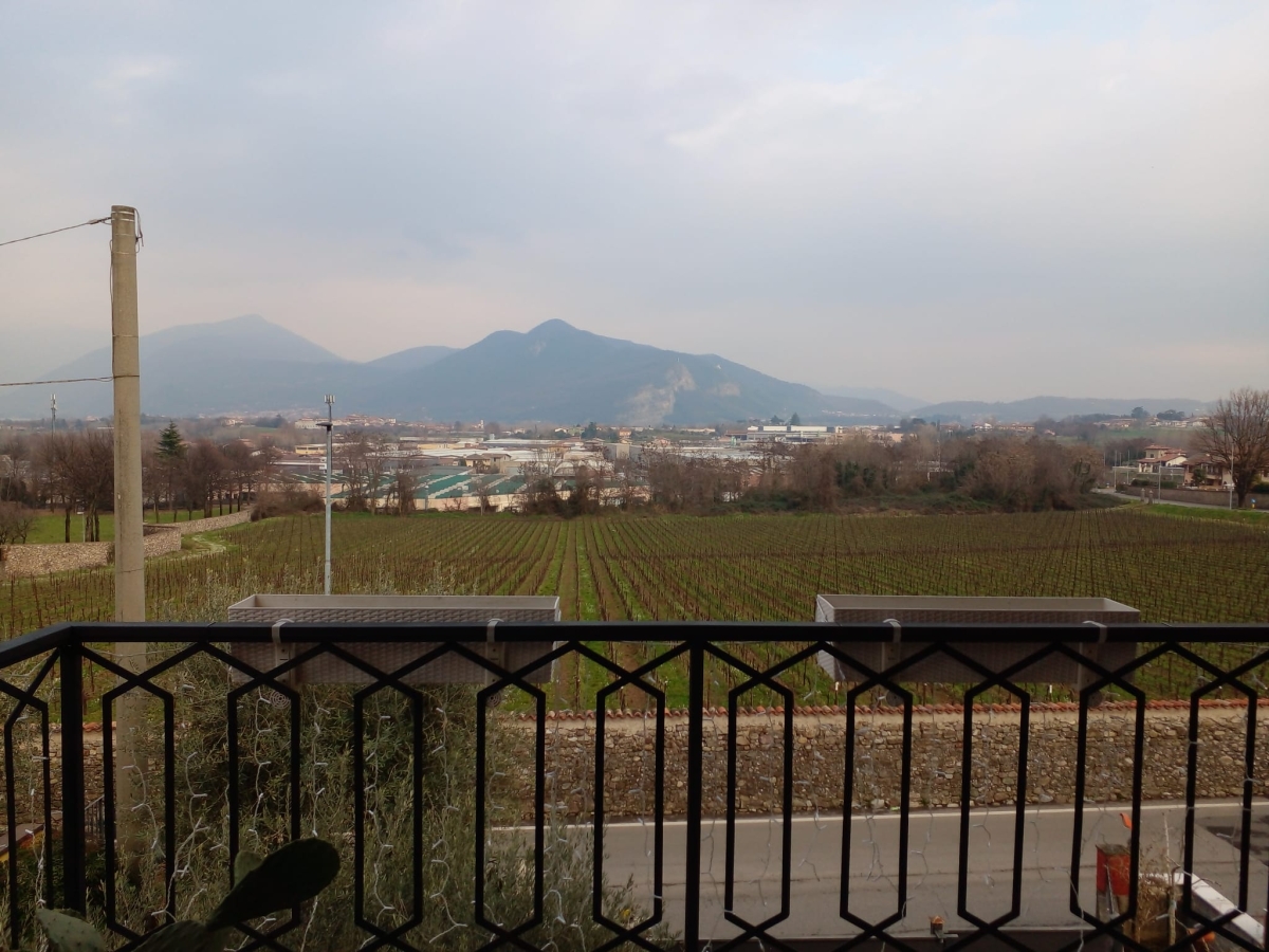 Appartamento - 